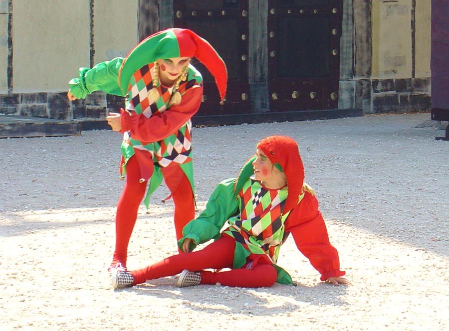 DSC05991-Feuerfalke-2008.jpg